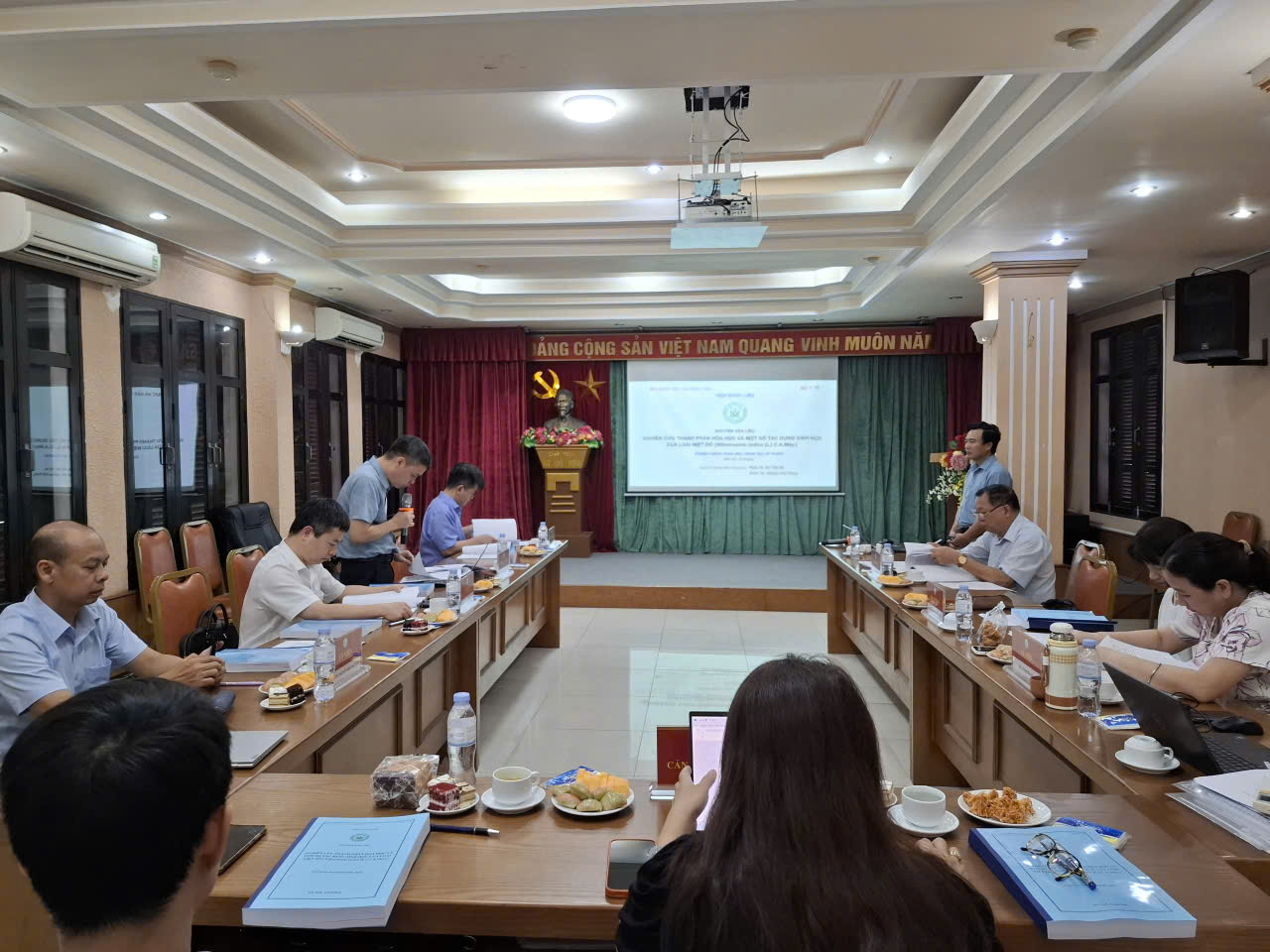 Không có ảnh